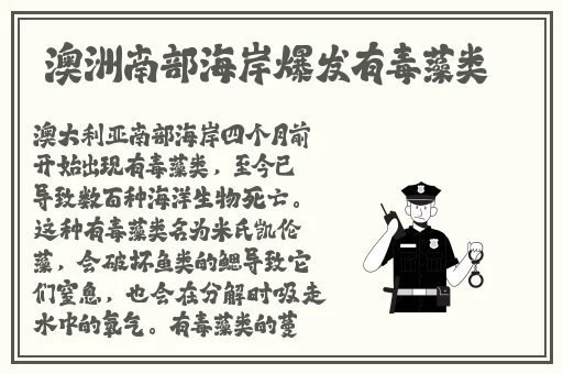 草莓深夜放飞